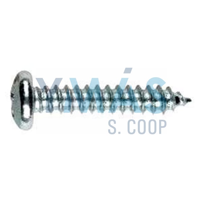 TORNILLO R CHAPA DIN7981 3,9X38 ZINCADO
