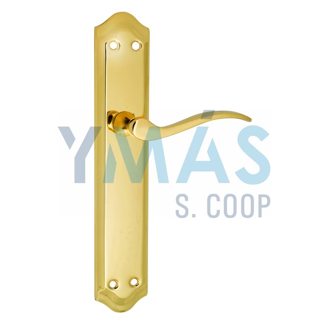 JUEGO MANILLA C/PLACA 202 ACERO BIORO 256X47MM