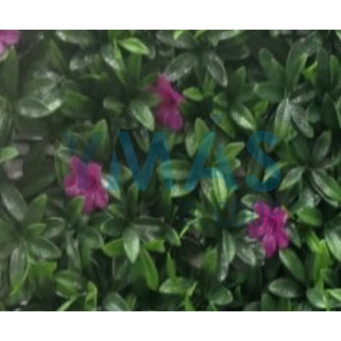 JARDIN VERTICAL MALVA 50X50CM