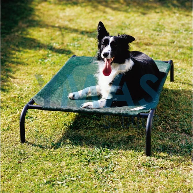 CAMA MASCOTA ACERO M 110X65X20CM