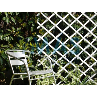 CELOSIA PLASTICO TRELLIFLEX 1X2M BLANCA