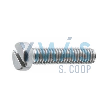 TORNILLO DIN 84 ZINCADO 6X25 C500