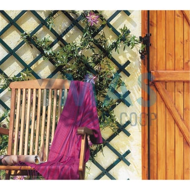CELOSIA PLASTICO TRELLIFLEX 1X2M VERDE