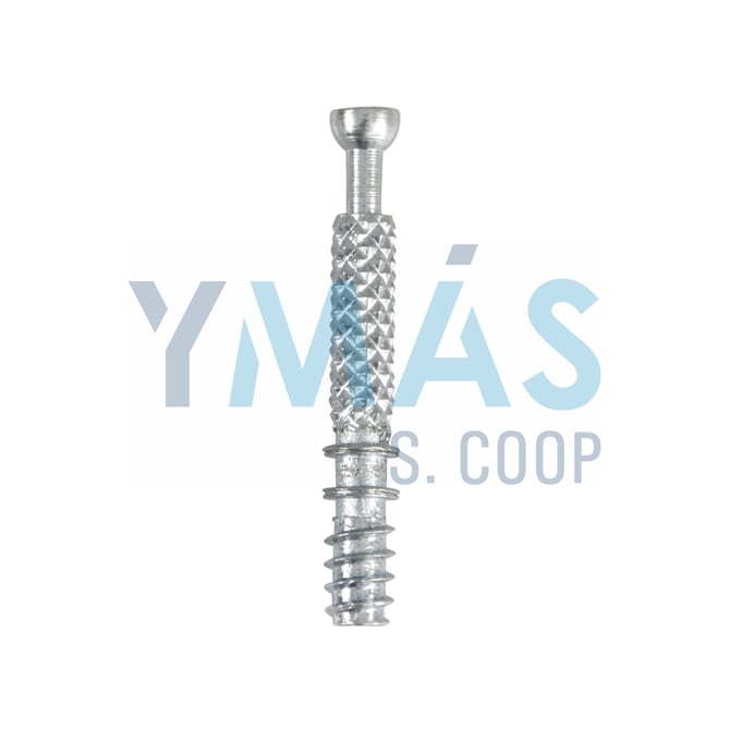 TORNILLO PARA EXCENTRICA MODELO 35 10 UNIDADES