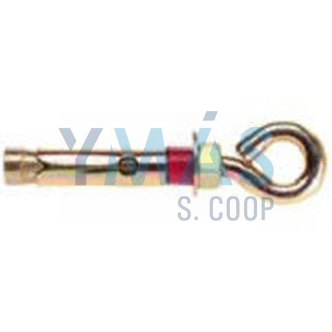 ANCLAJE ARGOLLA CHA M 10x70