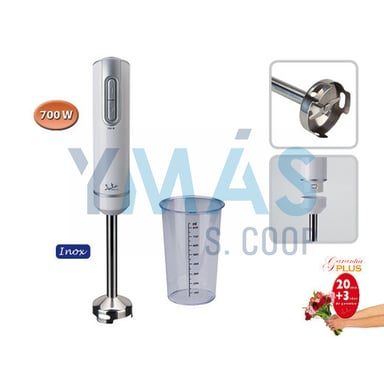 BATIDORA VARILLA PIE INOX 700W