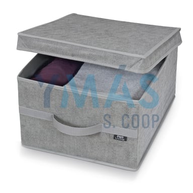 CAJA GUARDARROPAL C/ASA 38X50X24CM GRIS