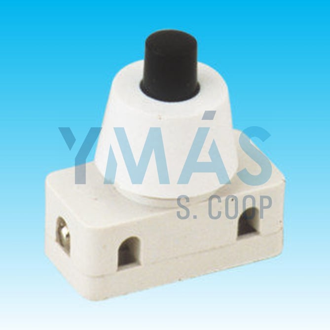 INTERRUPTOR 2A/250V 10 UNIDADES