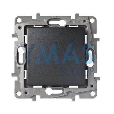 CRUZAMIENTO GRAFITO NILOE