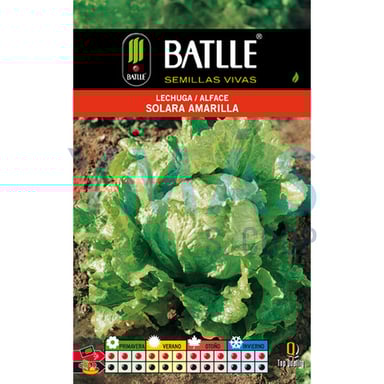 SEMILLAS LECHUGA BATAVIA SOLARA SOBRE