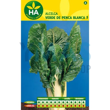 SEMILLAS ACELGA VERDE PENCA BLANCA