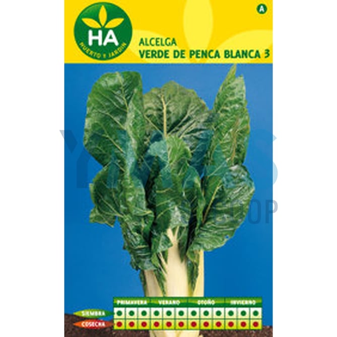 SEMILLAS ACELGA VERDE PENCA BLANCA