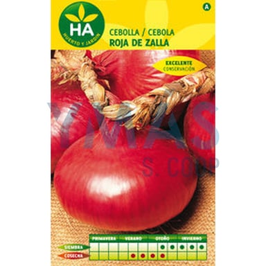SEMILLAS CEBOLLA ROJA DE ZALLA SOBRE