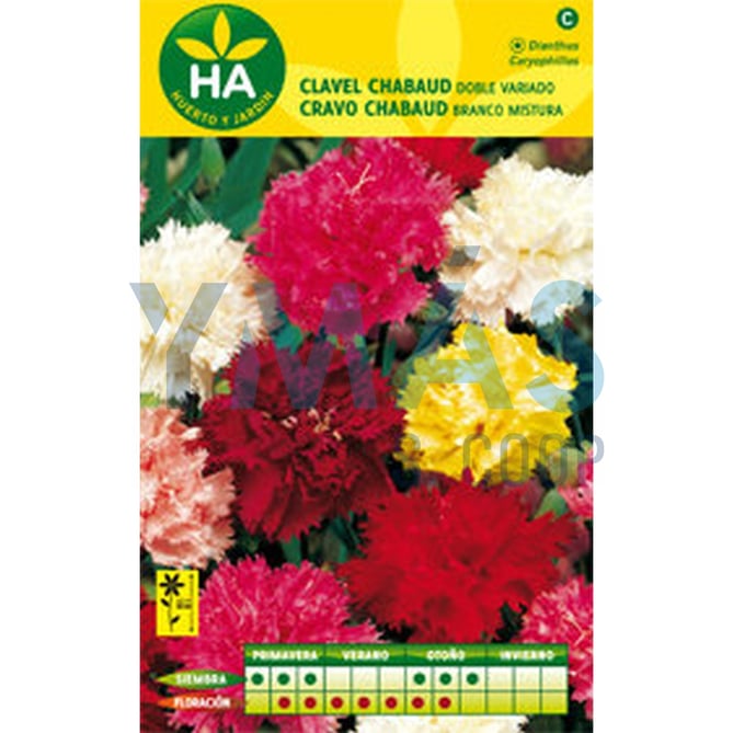 SEMILLAS FLOR CLAVEL CHABAUD VARIADO SOB