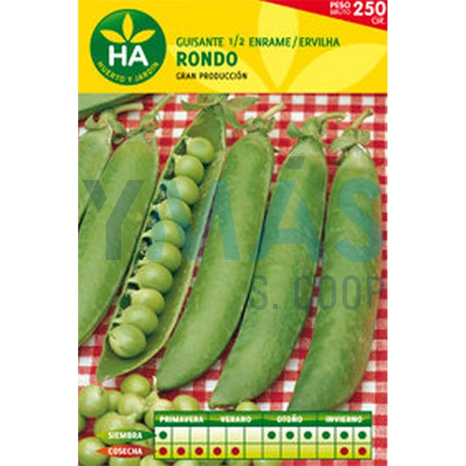 SEMILLAS GUISANTE RONDO CAJA 250GR