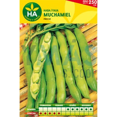 SEMILLAS HABA MUCHAMIEL 250GR