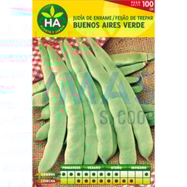 SEMILLAS JUDIA VERDE B AIRES CAJA 100GR
