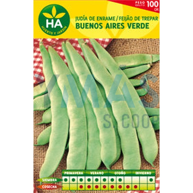 SEMILLAS JUDIA VERDE B AIRES CAJA 100GR