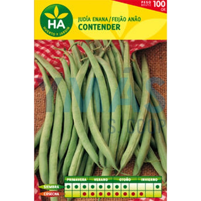 SEMILLAS JUDIA VERDE CONTENDER CAJA 100G