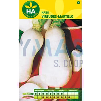 SEMILLAS NABO VIRTUDES MARTILLO SOBRE