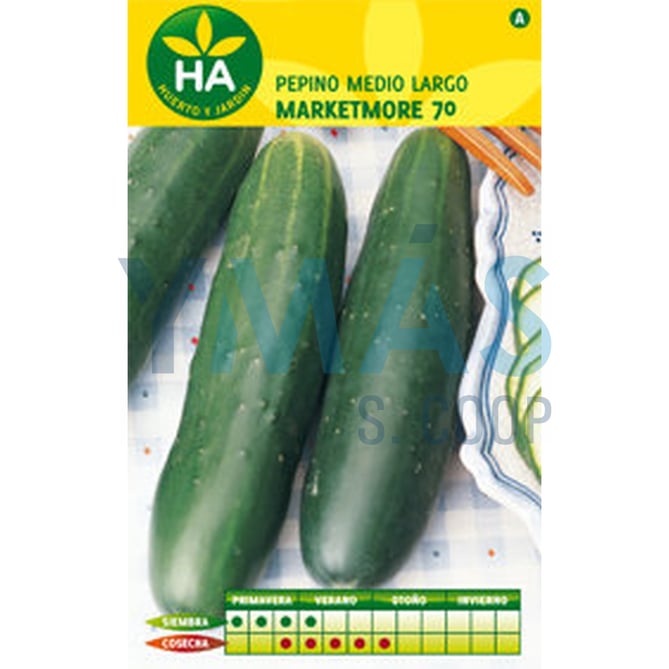 SEMILLAS PEPINO MARKETMORE MEDIO SOBRE