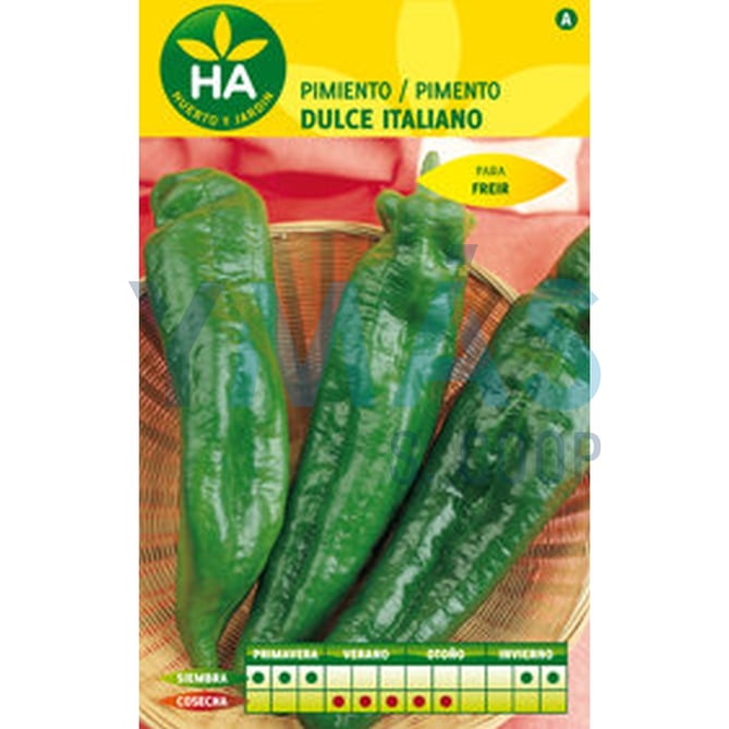 SEMILLAS PIMIENTO DULCE ITALIANO SOBRE