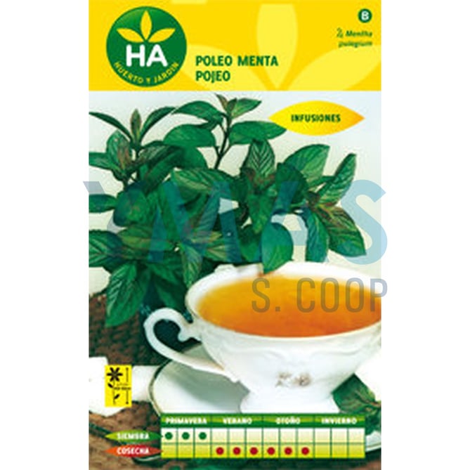 SEMILLAS POLEO MENTA AROMATICA SOBRE