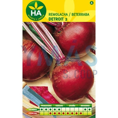 SEMILLAS REMOLACHA MESA DETROIT 2 SOBRE