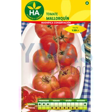 SEMILLAS TOMATE COLGAR SELECCION SOBRE