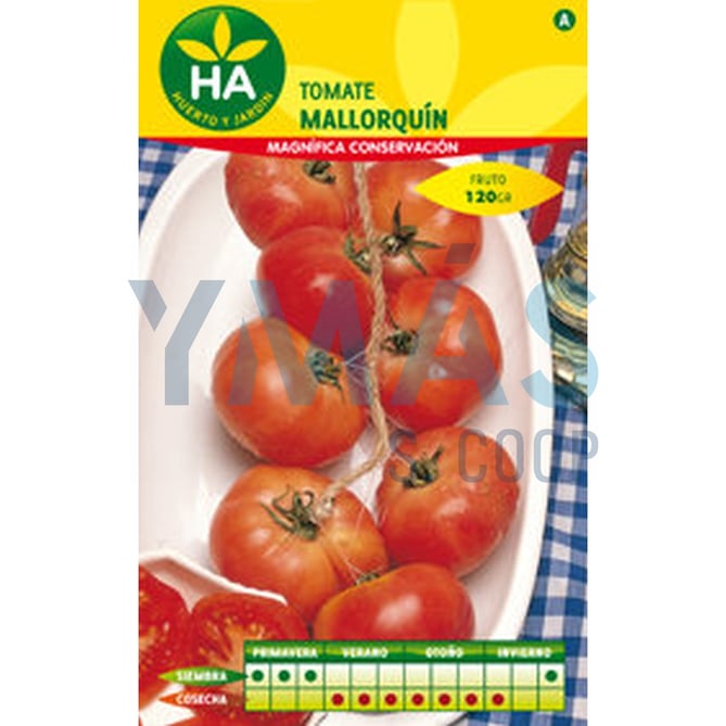 SEMILLAS TOMATE COLGAR SELECCION SOBRE