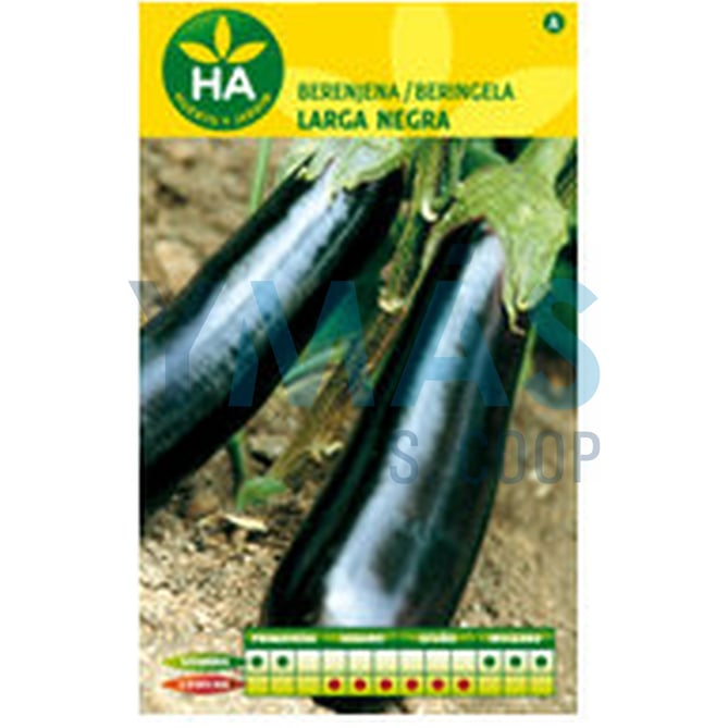 SEMILLAS BERENJENA LARGA NEGRA SOBRE