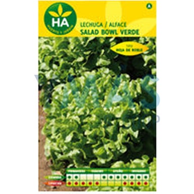 SEMILLAS LECHUGA SALAD BOWL VERDE SOBRE