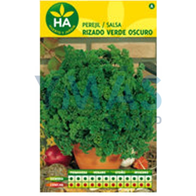 SEMILLAS PEREJIL RIZADO VERDE OSCURO SOBRE
