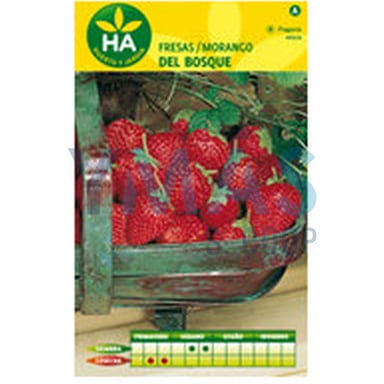 SEMILLAS FRESON CUATRO ESTACIONES SOBRE