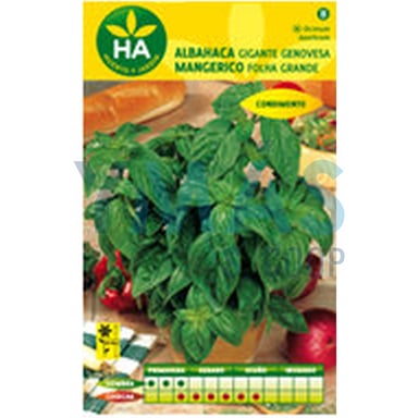 SEMILLAS ALBAHACA GIGANTE GENOVESA SOBRE