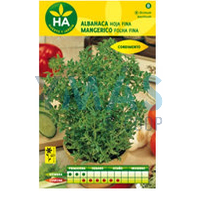 SEMILLAS ALBAHACA HOJA FINA SOBRE