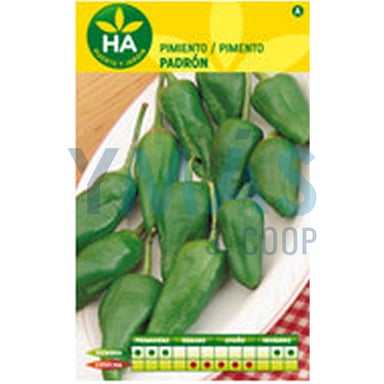 SEMILLAS PIMIENTO PADRON SOBRE