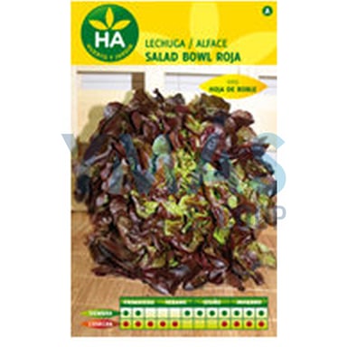 SEMILLAS LECHUGA SALAD BOWL ROJA SOBRE