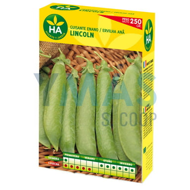 SEMILLAS GUISANTE ENANO LINCOLN CAJA 250GR