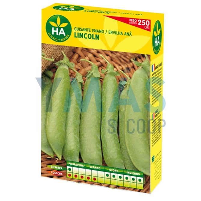 SEMILLAS GUISANTE ENANO LINCOLN CAJA 250GR