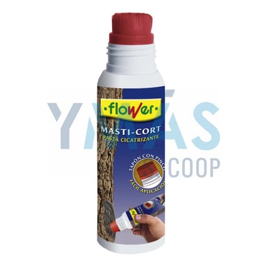PASTA CICATRIZANTE MASTI CORT 250GR