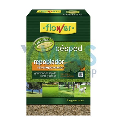 SEMILLAS CESPED REPOBLADOR 1KG