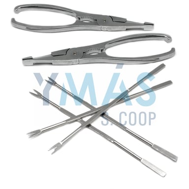 SET MARISCO 2 TENAZAS Y 4 PINCHOS
