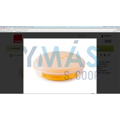 PORTATORTILLA PLASTICO 26CM