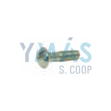 TORNILLO ASA MAGEFESA M6X22 10UD