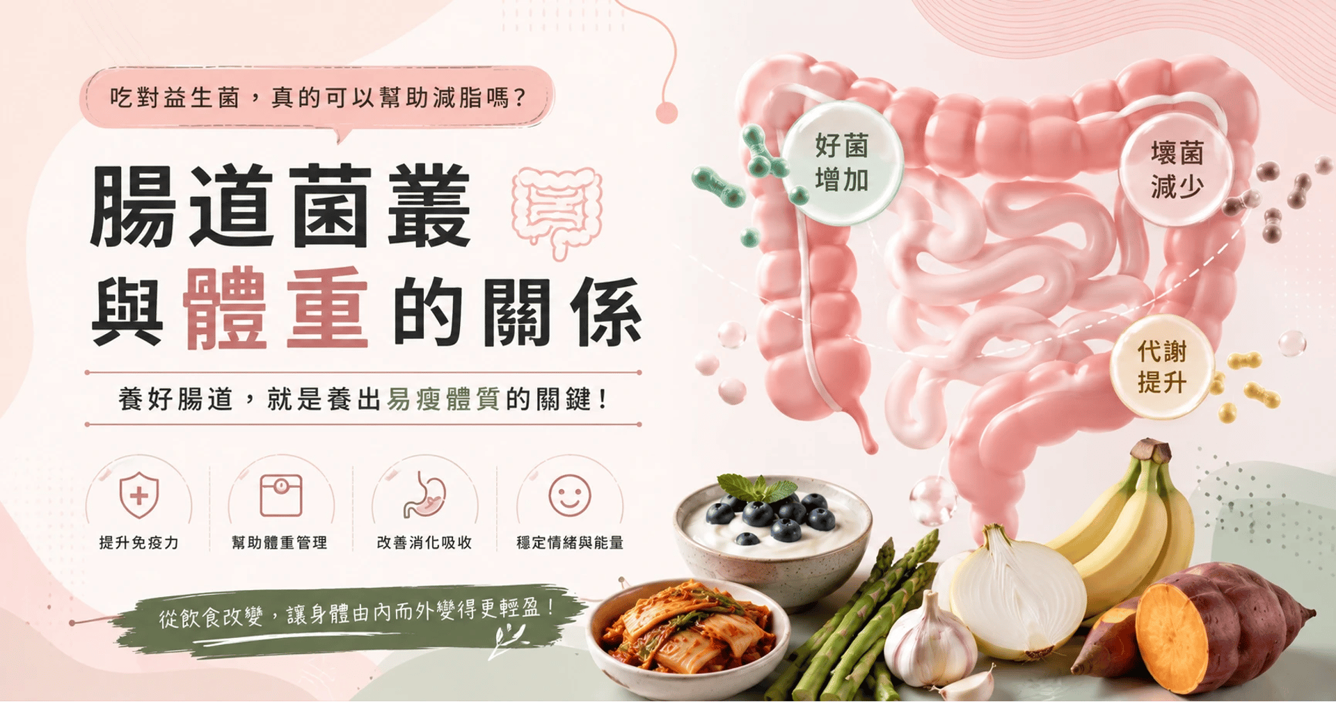 腸道菌叢與體重：吃對益生菌真的可以幫助減脂嗎？ 