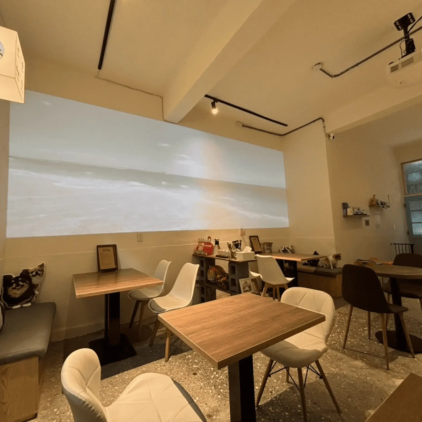 三重咖啡廳 NiMoCafe 妮萌咖啡 (3)