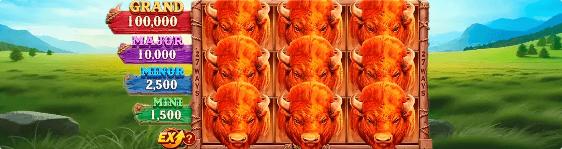4_Bison_Fortune_Coins_play.png