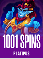 1001 Spins