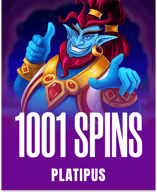 1001 Spins